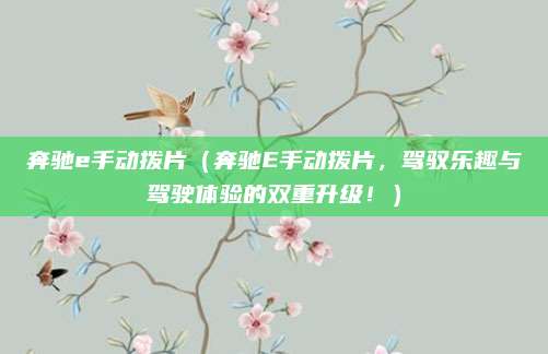 奔驰e手动拨片(奔驰E手动拨片,驾驭乐趣与驾驶体验的双重升级!)