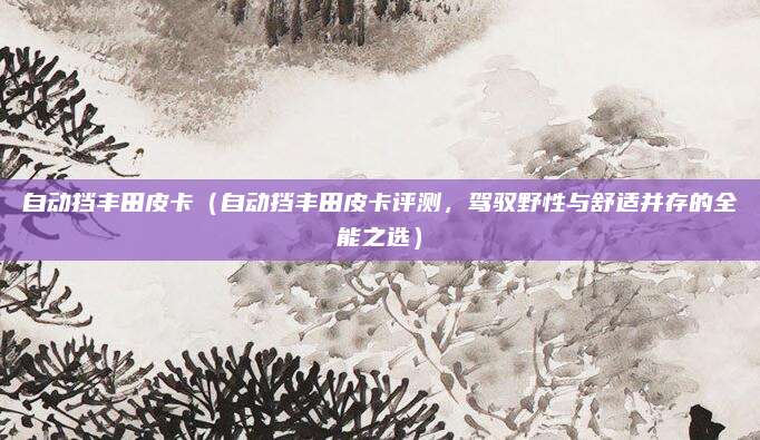 自动挡丰田皮卡(自动挡丰田皮卡评测,驾驭野性与舒适并存的全能之选)