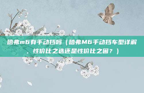 哈弗m6有手动挡吗(哈弗M6手动挡车型详解,性价比之选还是性价比之困?)