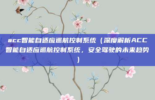 acc智能自适应巡航控制系统(深度解析ACC智能自适应巡航控制系统,安全驾驶的未来趋势)