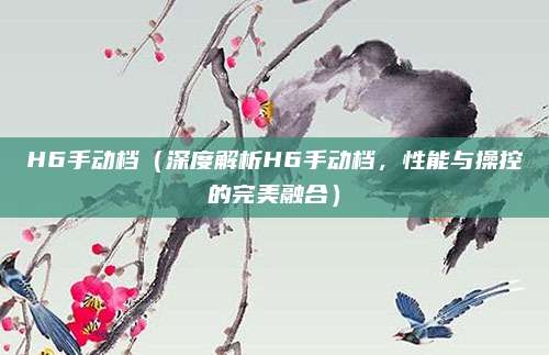 H6手动档(深度解析H6手动档,性能与操控的完美融合)