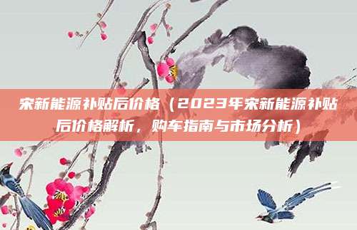 宋新能源补贴后价格（2023年宋新能源补贴后价格解析，购车指南与市场分析）