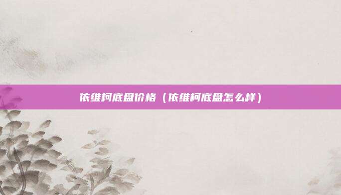 依维柯底盘价格(依维柯底盘怎么样)