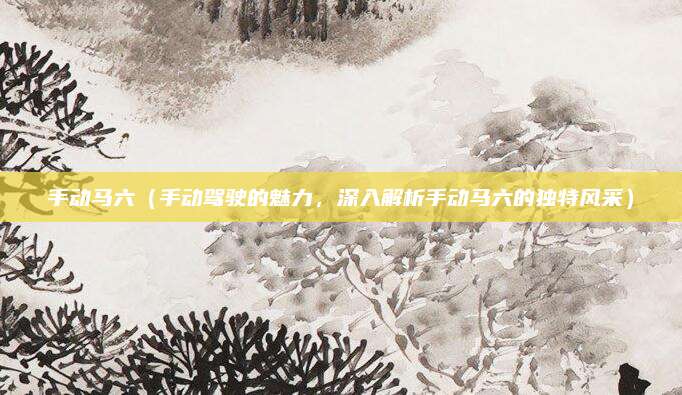 手动马六(手动驾驶的魅力,深入解析手动马六的独特风采)