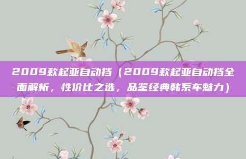 2009款起亚自动挡(2009款起亚自动挡全面解析,性价比之选,品鉴经典韩系车魅力)
