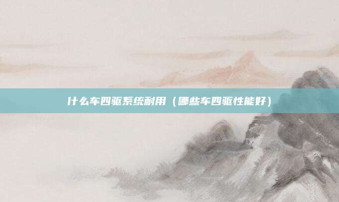 什么车四驱系统耐用(哪些车四驱性能好)