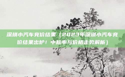 深圳小汽车竞价结果（2023年深圳小汽车竞价结果出炉！中标率与价格走势解析）