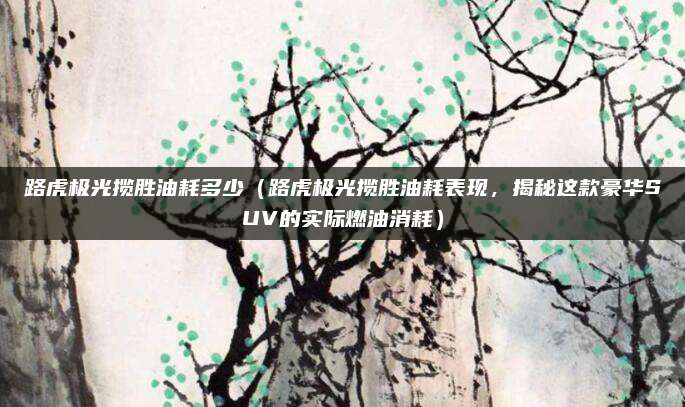 路虎极光揽胜油耗多少(路虎极光揽胜油耗表现,揭秘这款豪华SUV的实际燃油消耗)