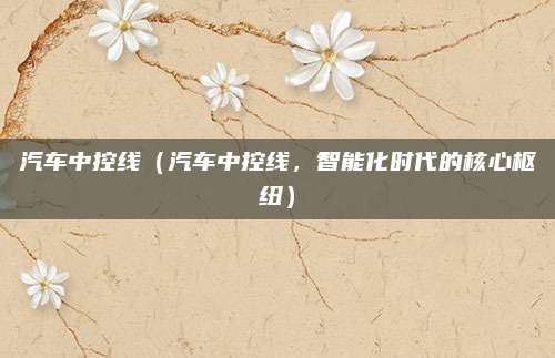 汽车中控线(汽车中控线,智能化时代的核心枢纽)