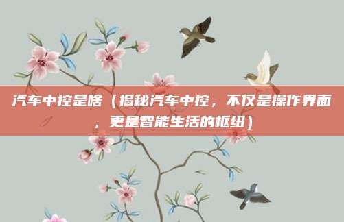 汽车中控是啥(揭秘汽车中控,不仅是操作界面,更是智能生活的枢纽)