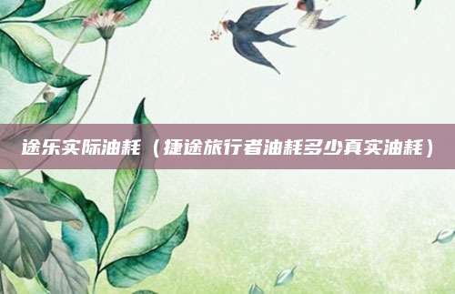 途乐实际油耗(捷途旅行者油耗多少真实油耗)