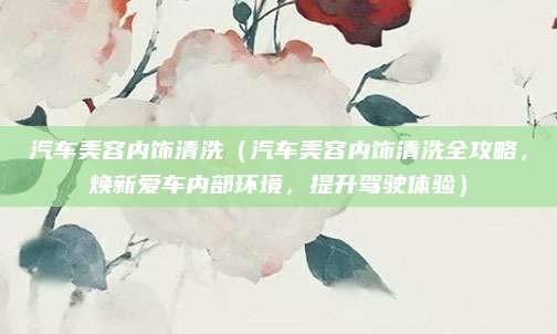 汽车美容内饰清洗(汽车美容内饰清洗全攻略,焕新爱车内部环境,提升驾驶体验)