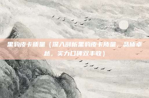 黑豹皮卡质量（深入剖析黑豹皮卡质量，品质卓越，实力口碑双丰收）