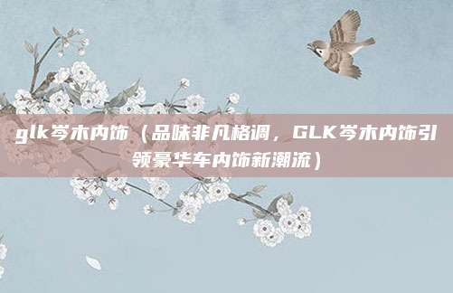 glk岑木内饰(品味非凡格调,GLK岑木内饰引领豪华车内饰新潮流)