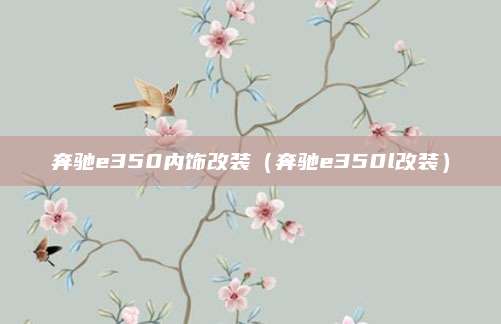 奔驰e350内饰改装（奔驰e350l改装）