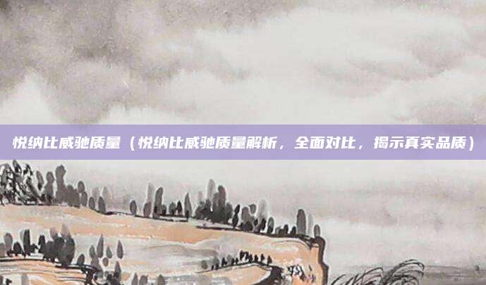 悦纳比威驰质量(悦纳比威驰质量解析,全面对比,揭示真实品质)