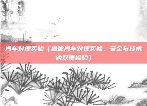 汽车对撞实验(揭秘汽车对撞实验,安全与技术的双重检验)