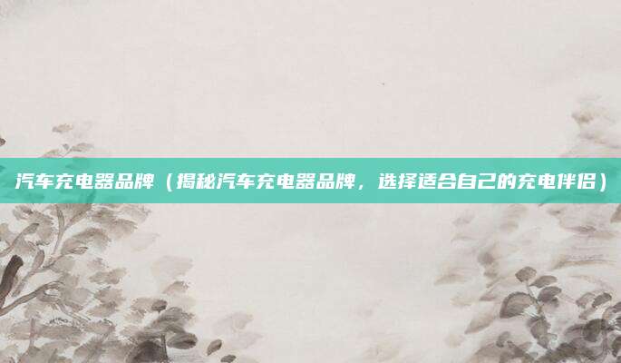 汽车充电器品牌(揭秘汽车充电器品牌,选择适合自己的充电伴侣)