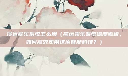 揽运娱乐系统怎么用(揽运娱乐系统深度解析,如何高效使用这项智能科技?)