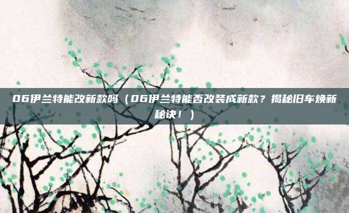 06伊兰特能改新款吗(06伊兰特能否改装成新款?揭秘旧车焕新秘诀!)