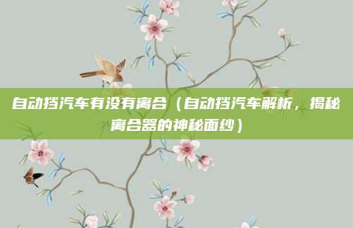 自动挡汽车有没有离合（自动挡汽车解析，揭秘离合器的神秘面纱）