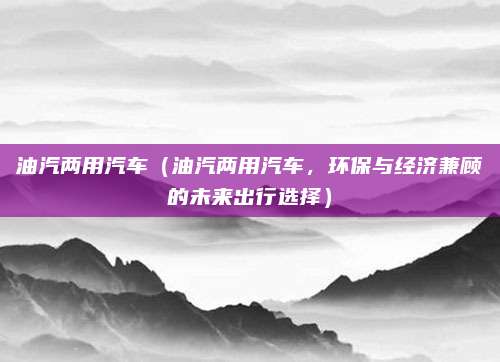 油汽两用汽车(油汽两用汽车,环保与经济兼顾的未来出行选择)