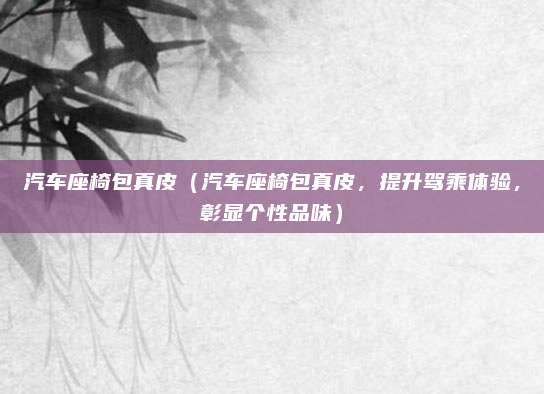 汽车座椅包真皮(汽车座椅包真皮,提升驾乘体验,彰显个性品味)