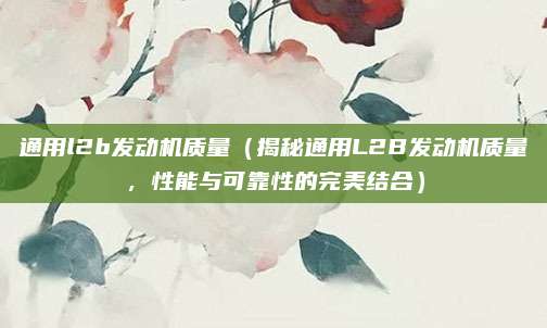 通用l2b发动机质量（揭秘通用L2B发动机质量，性能与可靠性的完美结合）