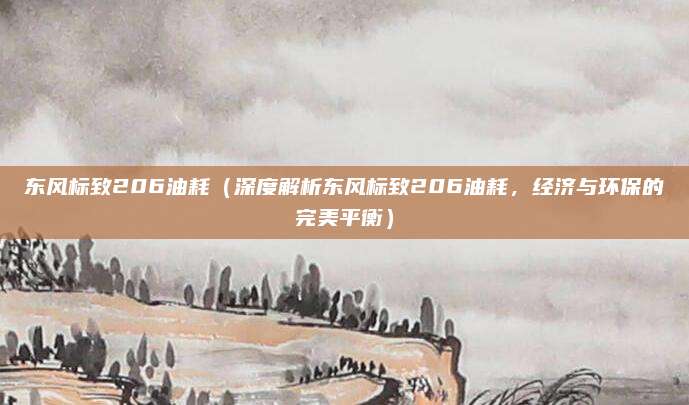 东风标致206油耗(深度解析东风标致206油耗,经济与环保的完美平衡)