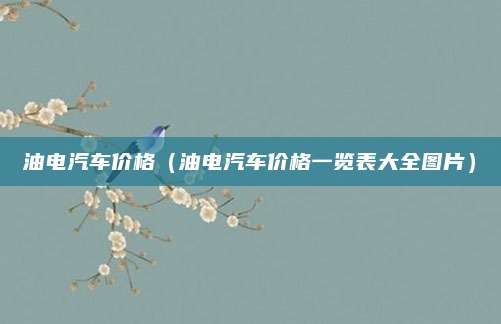 油电汽车价格(油电汽车价格一览表大全图片)