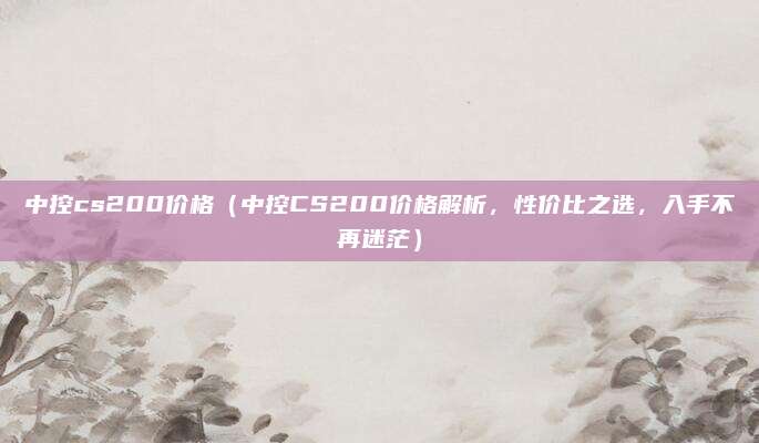 中控cs200价格（中控CS200价格解析，性价比之选，入手不再迷茫）