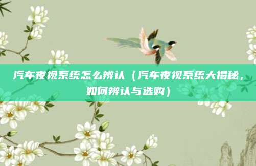 汽车夜视系统怎么辨认（汽车夜视系统大揭秘，如何辨认与选购）