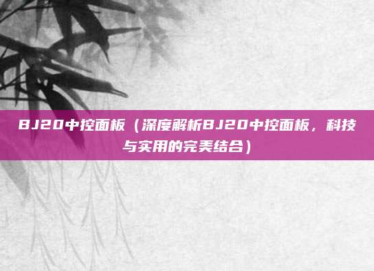 BJ20中控面板(深度解析BJ20中控面板,科技与实用的完美结合)
