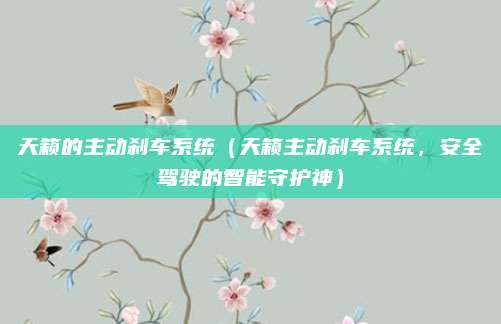 天籁的主动刹车系统(天籁主动刹车系统,安全驾驶的智能守护神)