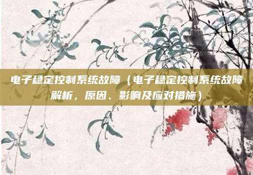 电子稳定控制系统故障(电子稳定控制系统故障解析,原因、影响及应对措施)