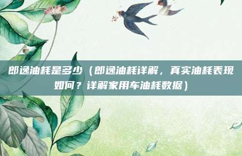 郎逸油耗是多少(郎逸油耗详解,真实油耗表现如何?详解家用车油耗数据)