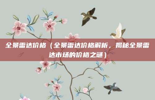 全景雷达价格(全景雷达价格解析,揭秘全景雷达市场的价格之谜)