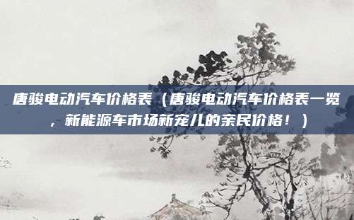 唐骏电动汽车价格表（唐骏电动汽车价格表一览，新能源车市场新宠儿的亲民价格！）