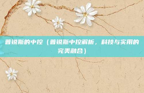 普锐斯的中控(普锐斯中控解析,科技与实用的完美融合)
