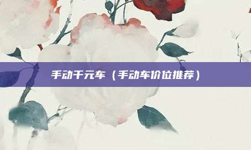 手动千元车(手动车价位推荐)