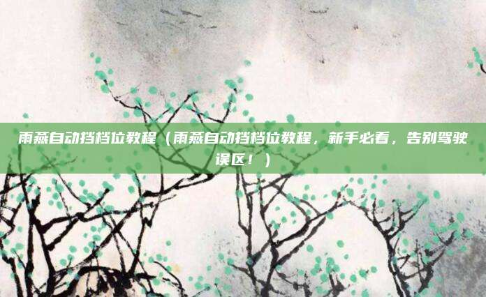 雨燕自动挡档位教程（雨燕自动挡档位教程，新手必看，告别驾驶误区！）