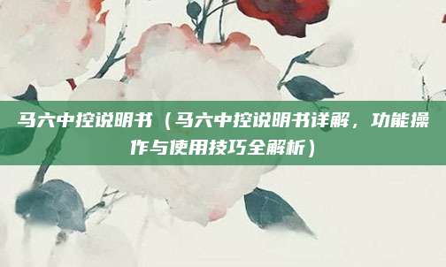 马六中控说明书（马六中控说明书详解，功能操作与使用技巧全解析）