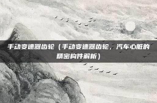 手动变速器齿轮(手动变速器齿轮,汽车心脏的精密构件解析)