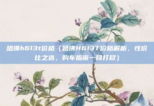 哈佛h613t价格（哈佛H613T价格解析，性价比之选，购车指南一网打尽）