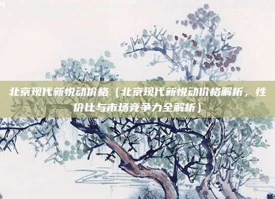 北京现代新悦动价格(北京现代新悦动价格解析,性价比与市场竞争力全解析)