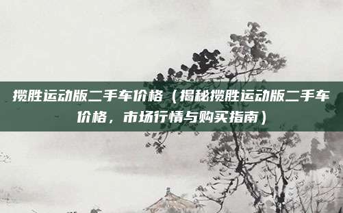 揽胜运动版二手车价格（揭秘揽胜运动版二手车价格，市场行情与购买指南）