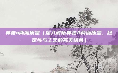 奔驰a两厢质量(深入解析奔驰A两厢质量,稳定性与工艺的完美结合)
