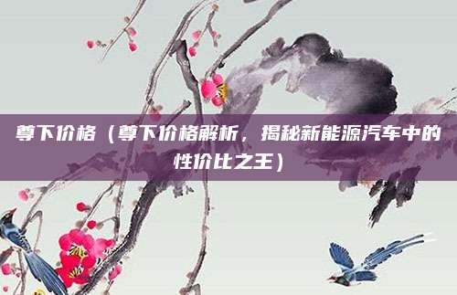 尊下价格(尊下价格解析,揭秘新能源汽车中的性价比之王)