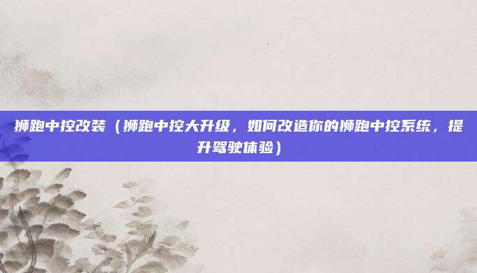 狮跑中控改装(狮跑中控大升级,如何改造你的狮跑中控系统,提升驾驶体验)
