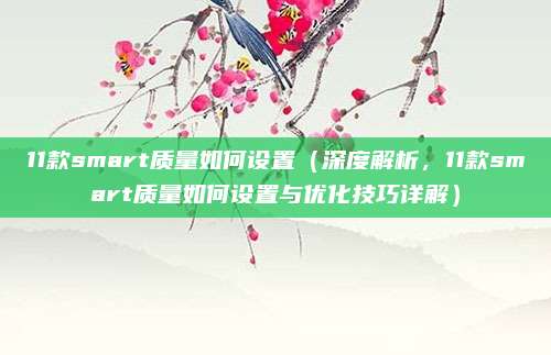 11款smart质量如何设置(深度解析,11款smart质量如何设置与优化技巧详解)